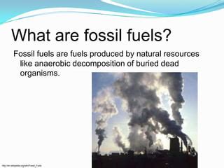 fossil fuels definition apes